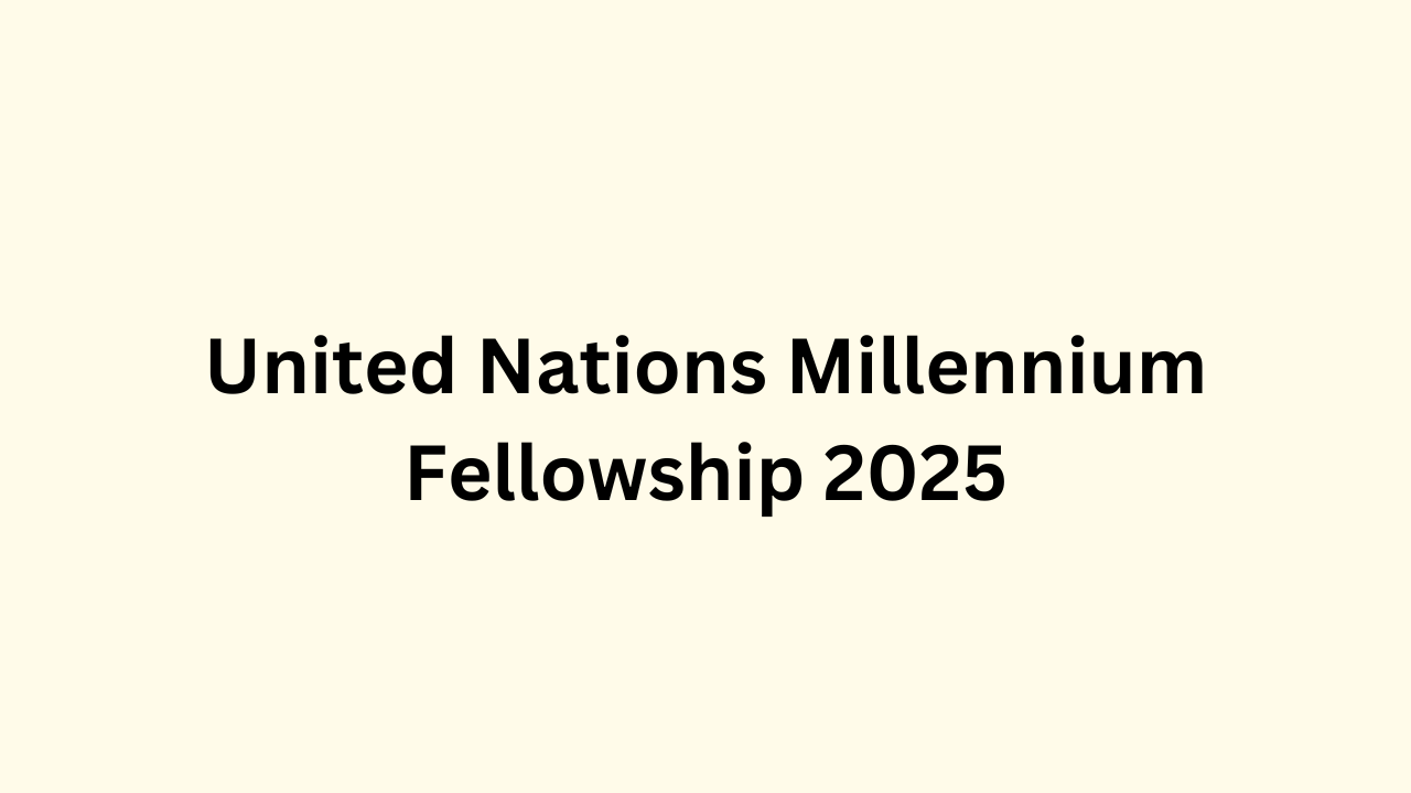 United Nations Millennium Fellowship 2025